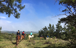 Several students riding single file on horses through a mountainous area of Costa Rica. They are looking at a beautiful view of more mountains in the distance under a bright, blue sky. 