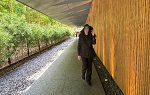 Student wearing wide brimmed hat walking down a path toward camera with a tall wooden wall on their left and a row of trees on their right a 