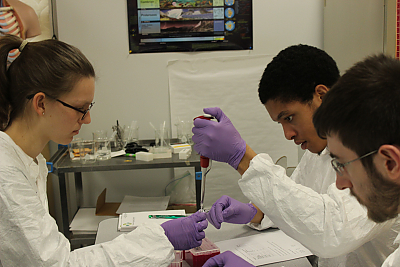 Students examining samples in lab